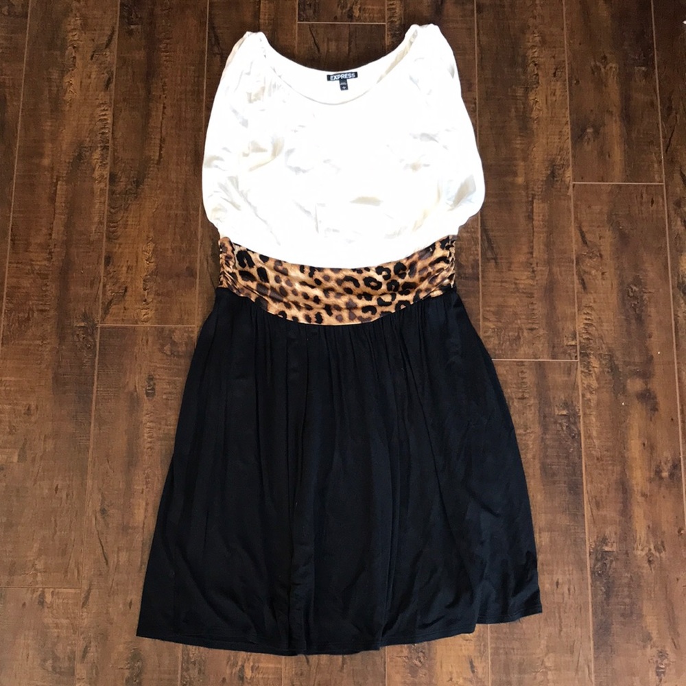 Express Print Dress